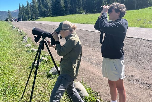 Yellowstone's Lamar Valley Wildlife Safari from Gardiner - Photo 1 of 11